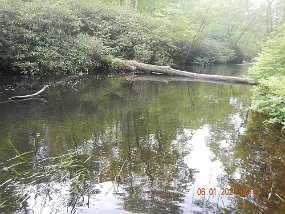 $BaldEagleSpring5-31 thru 6-3-2021040$ Both Mike and I pulled a good number of fish from this location. Yes, the wood did pose a problem but the fish seem to like it.